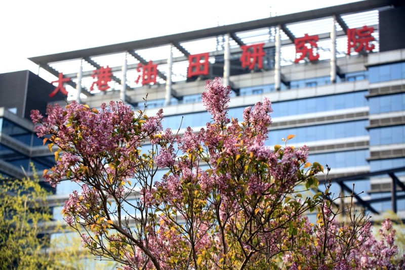 ���ӡ��ܼҡ����� �������ջ�ս���¹�