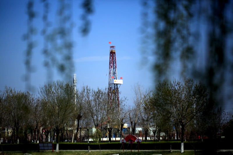 ǿ���� ����Ч ����ȫԱ�ܽ�����