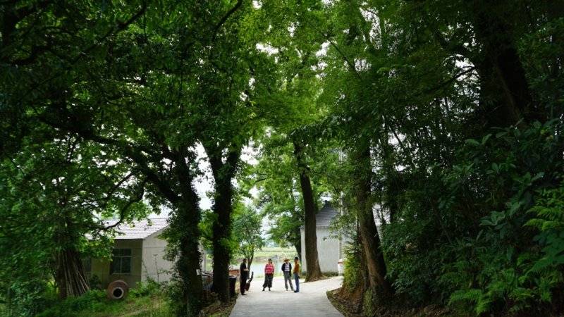 �㽭�²���ü�����ͬ���˴干��·