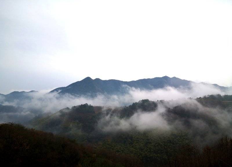 �㽭�²���ü�����ͬ���˴干��·