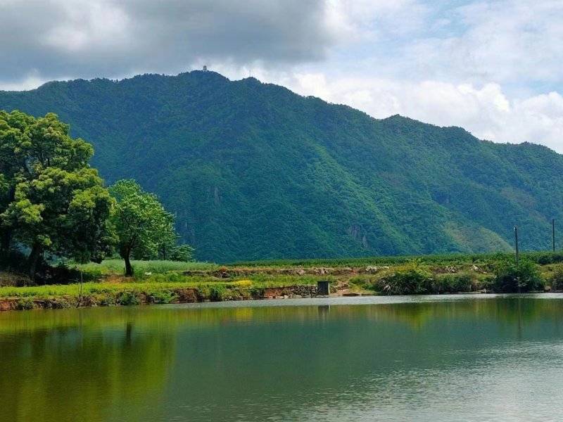 �㽭�²���ü�����ͬ���˴干��·