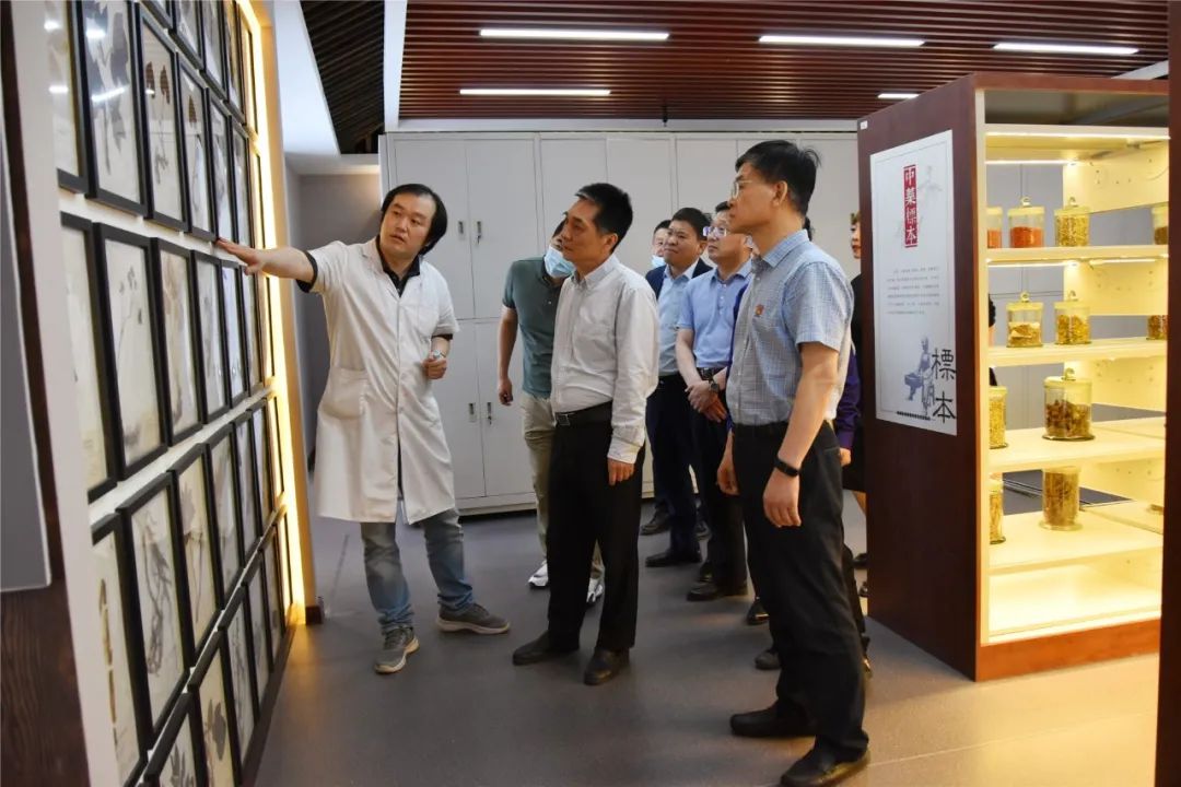 ��Ӣ��һ�е����ĵ���ָ������