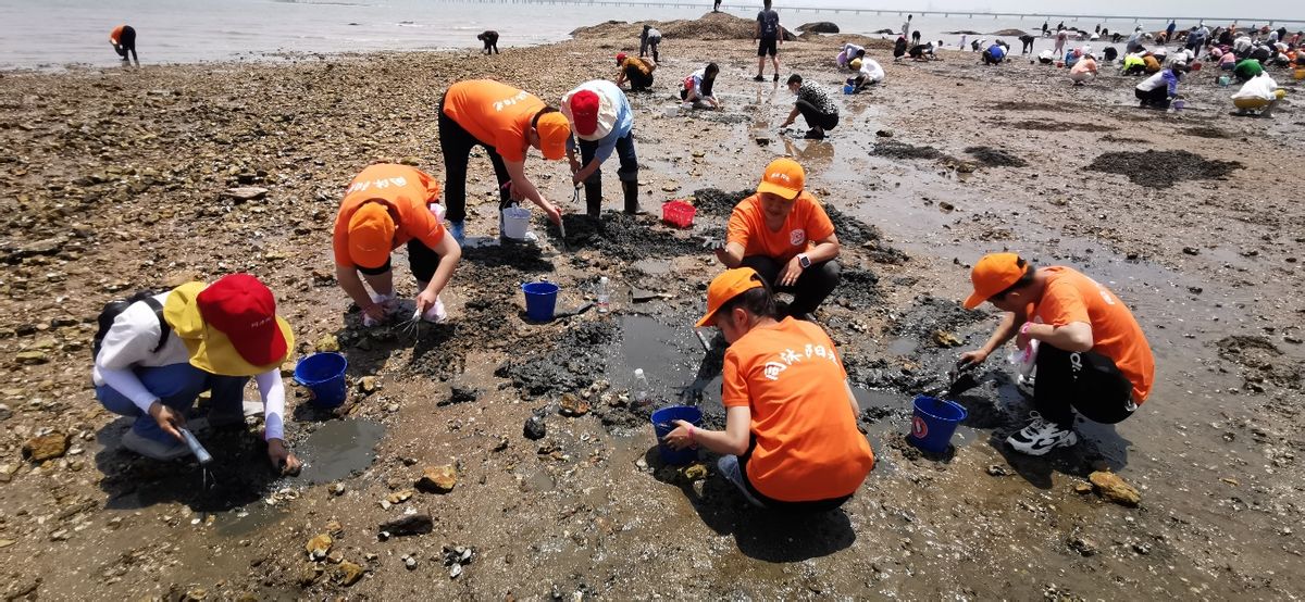 �ൺ�����ĺǻ�����������ʹ�������γ��