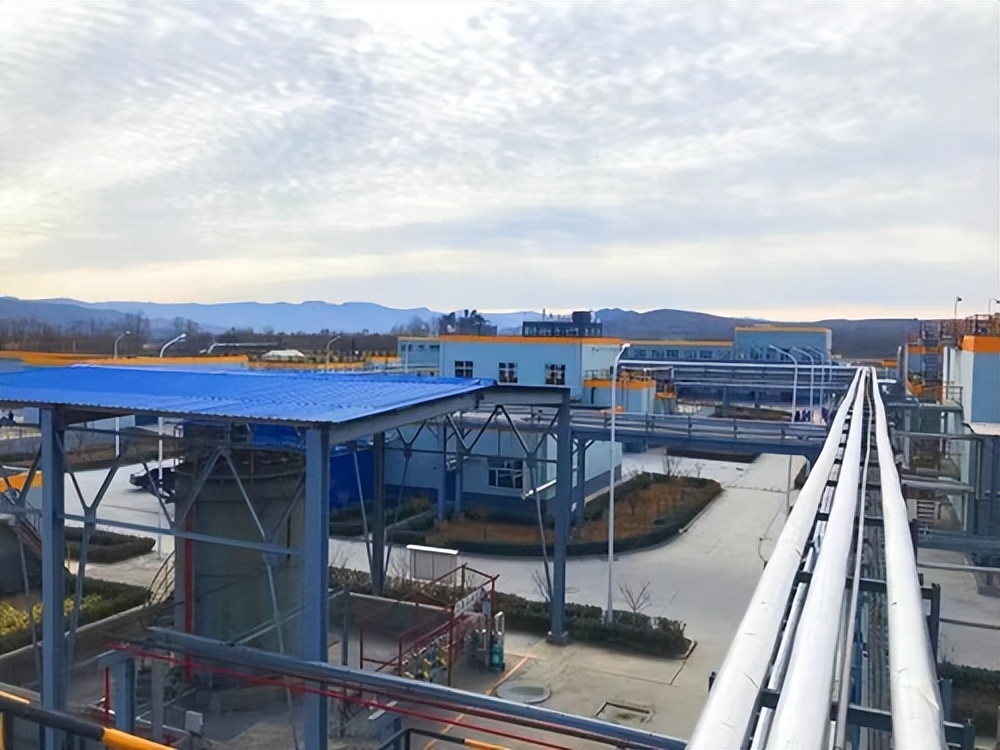 �����ĺ�Ա� �ή֮����Ч