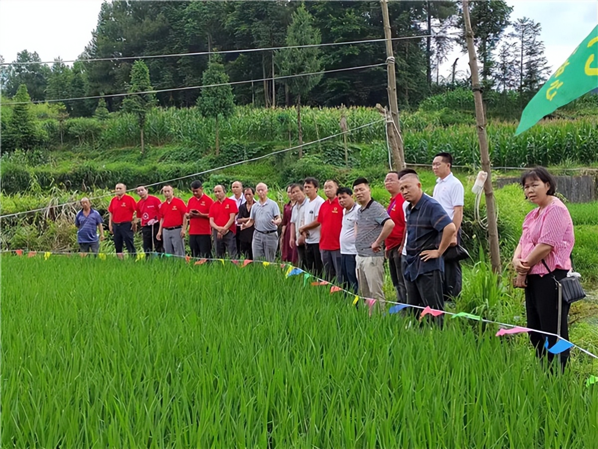 ̼��Ƽ�̼��˷��۷���������ũҵ�������