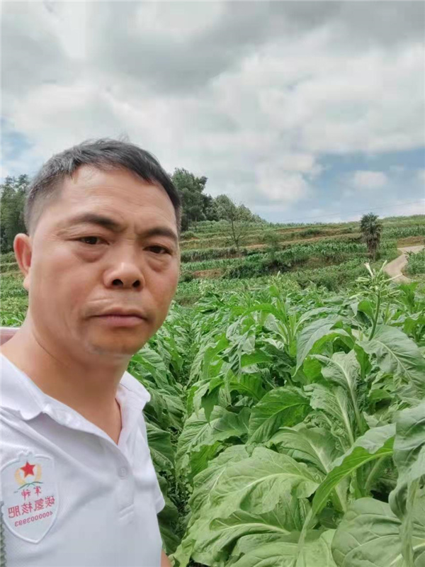 ̼��Ƽ�̼��˷��۷���������ũҵ�������