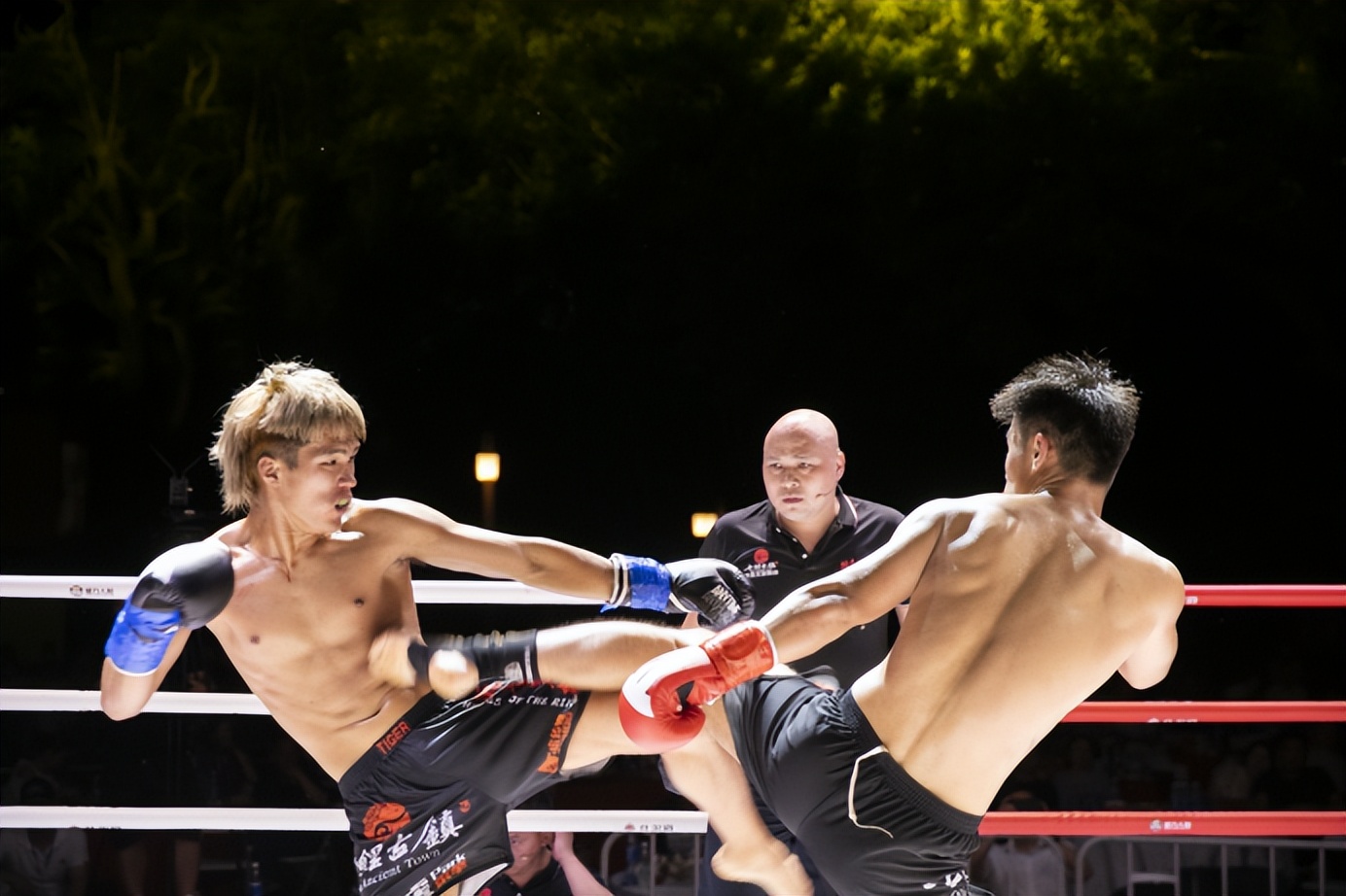 ���н����𡱱�2022����̨Ӣ�ۡ����ɲ���ְҵ��������վԲ����Ļ