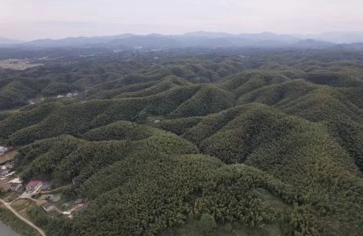 ̷�ٳظ��ҽ�����ƺ�������ï���ü������������Ŀ