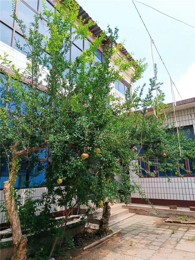 09504076705457711_124.jpg 09504076705457711_124.jpg