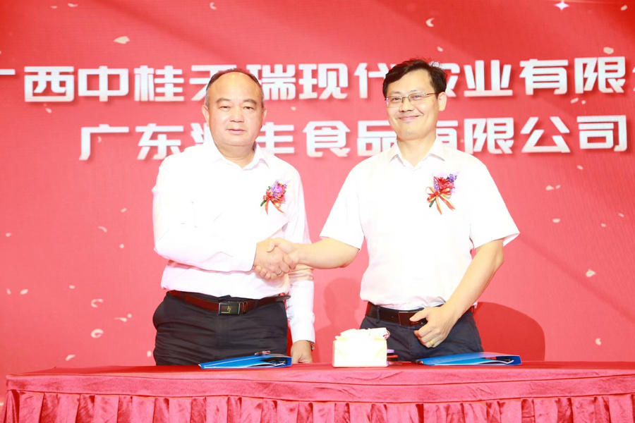 4682cde83fefc0501c7f87e15535110