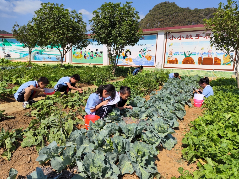 2.学生在学农基地体验生产劳动.jpg