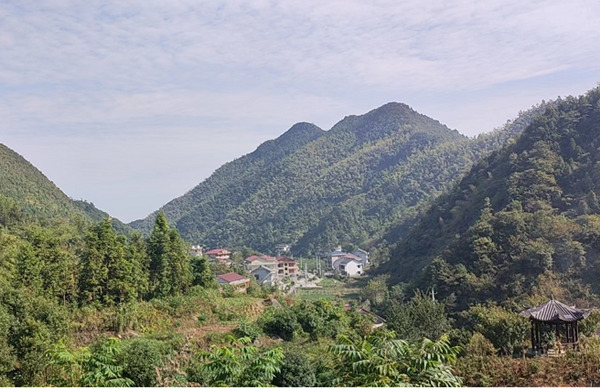 小河村大思考:乡村振兴,应规划先行