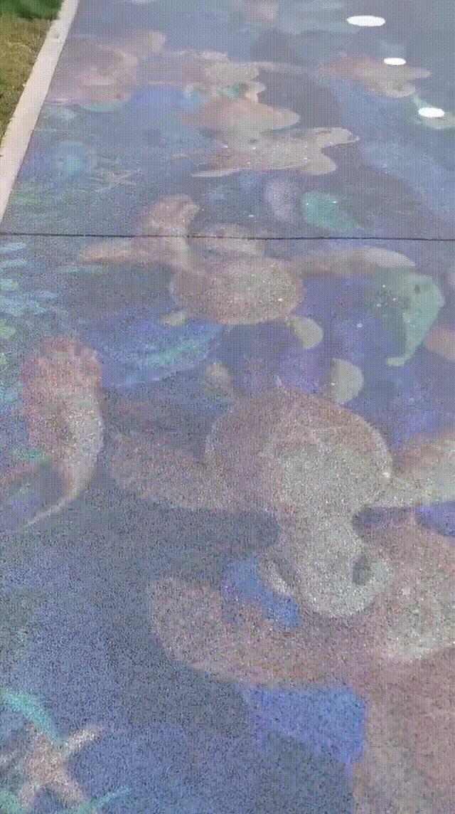 ��ͼ����