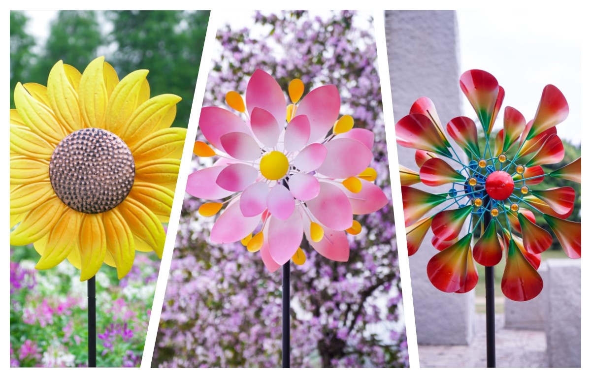 图片3.jpg 图片3.jpg