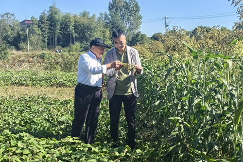 17472353254227335_5.png 17472353254227335_5.png