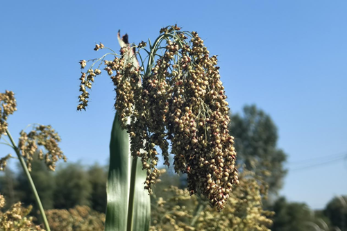 17475574624015356_5.png 17475574624015356_5.png