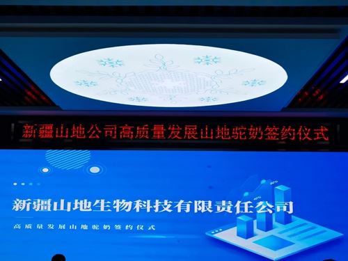 09433757939724442_5.jpg 09433757939724442_5.jpg