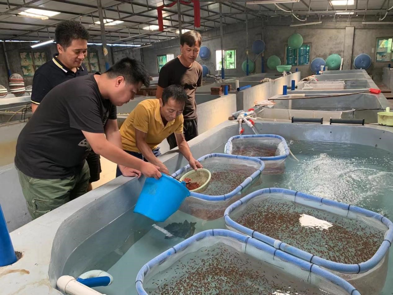 /uploads/allimg/231219/1H25022Y-2.jpg /uploads/allimg/231219/1H25022Y-2.jpg