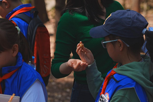 22341261037754983_5.png 22341261037754983_5.png