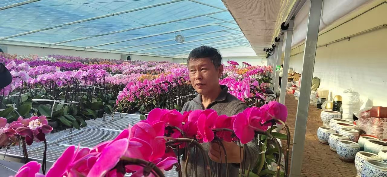 ���δ�ҵ  �ӱ�ʡ��ɽ��һ�ϱ����조��������Ƭ��